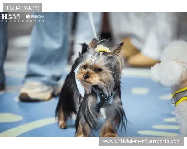 运动“萌宠助威”瞬间：场下“萌宠”成为新宠！