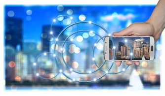 ac米兰中文官网-中国篮球职业俱乐部财务风险管理策略研究，篮球俱乐部运营情况